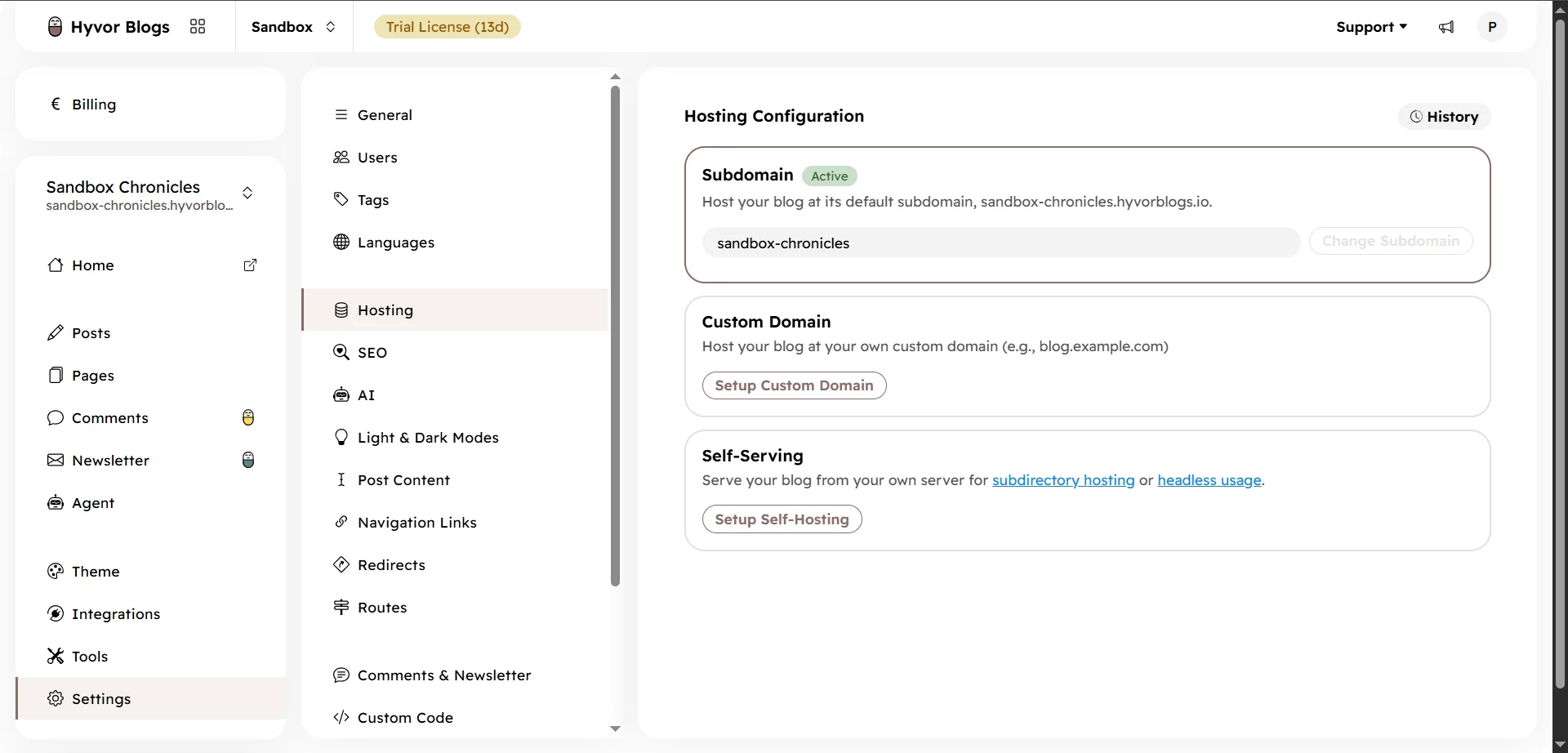 Hyvor Blogs hosting settings with subdomain, custom domain and self-serving options for one blog