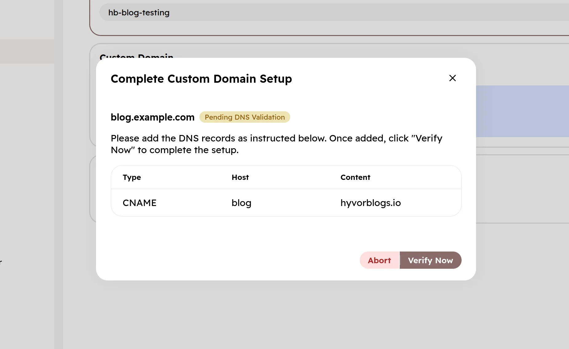 DNS instruction for configuring a custom domain in Hyvor Blogs console