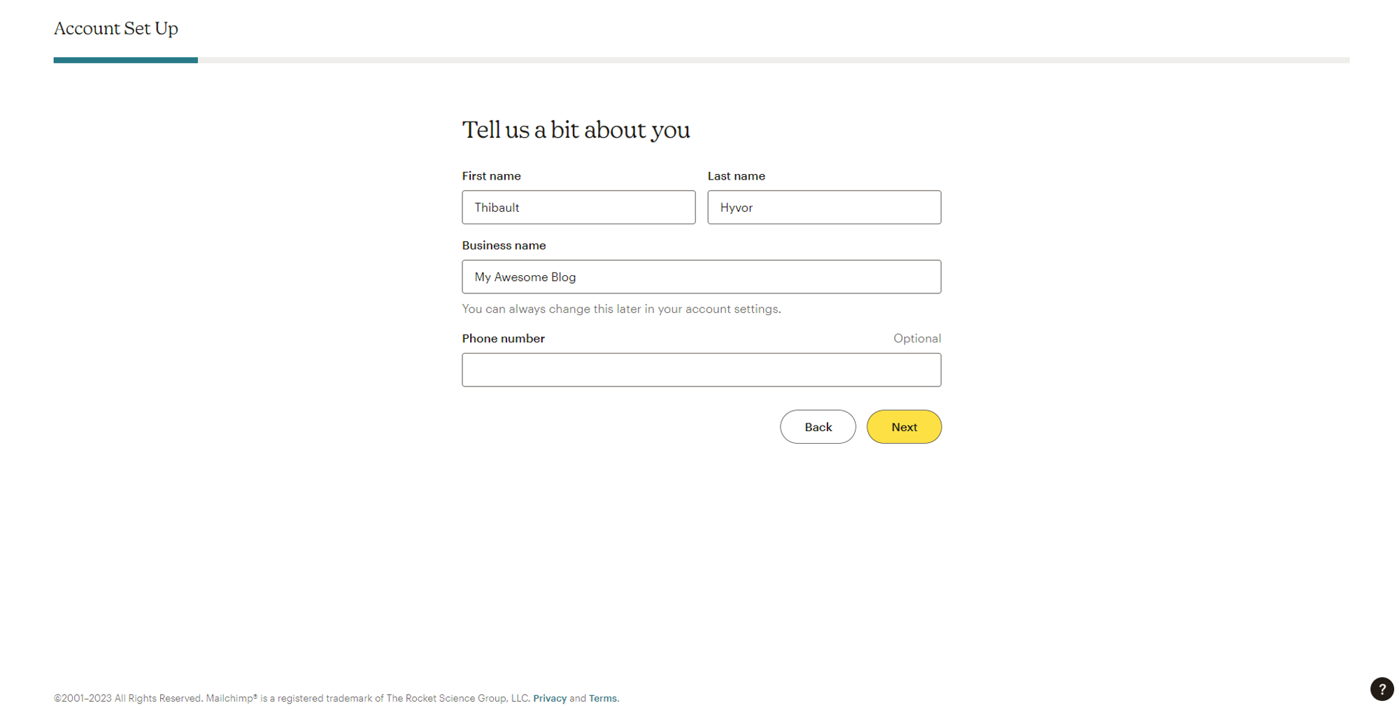 How to add Mailchimp to Hyvor Blogs - Enter your information